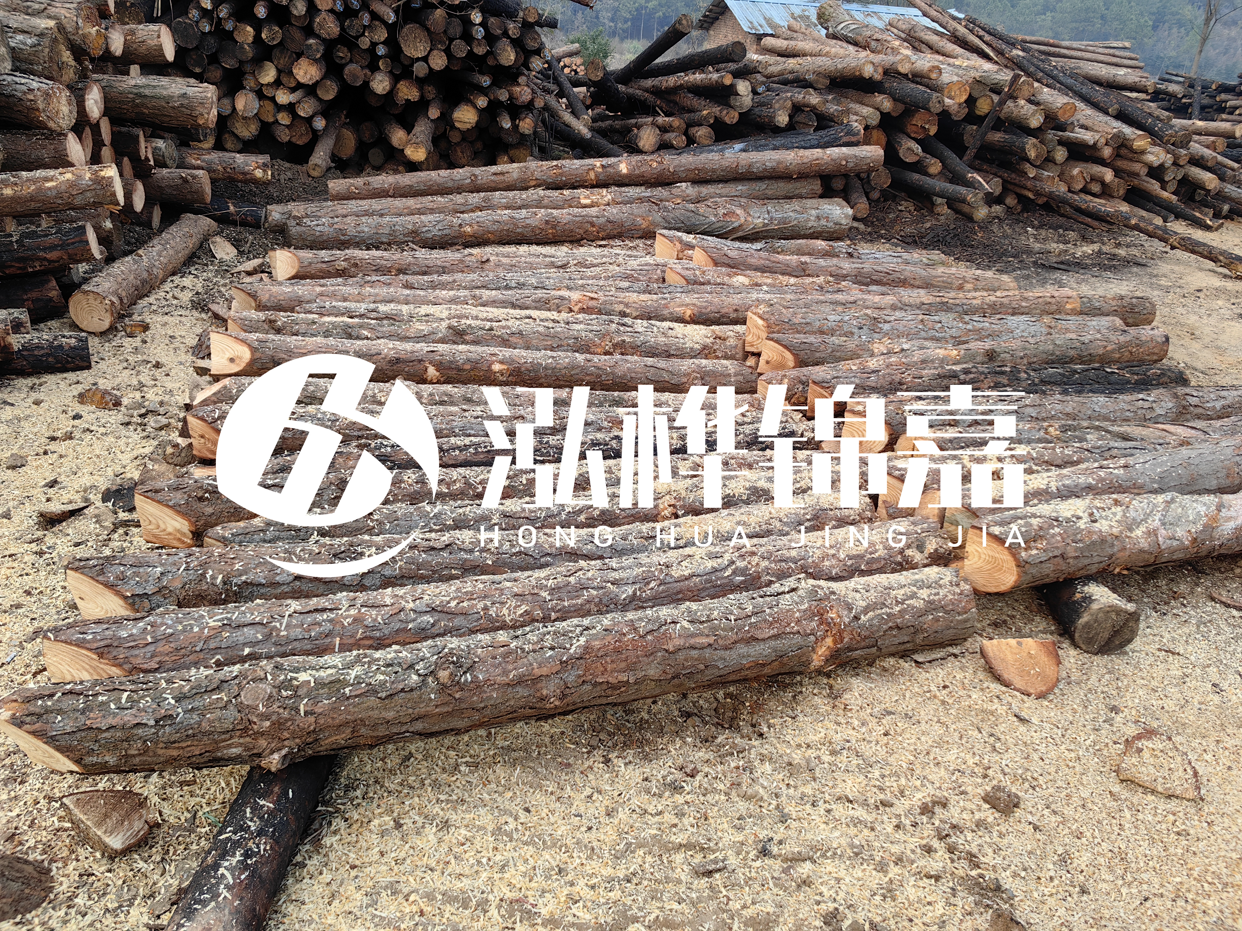 河道打樁木重復(fù)利用嗎？