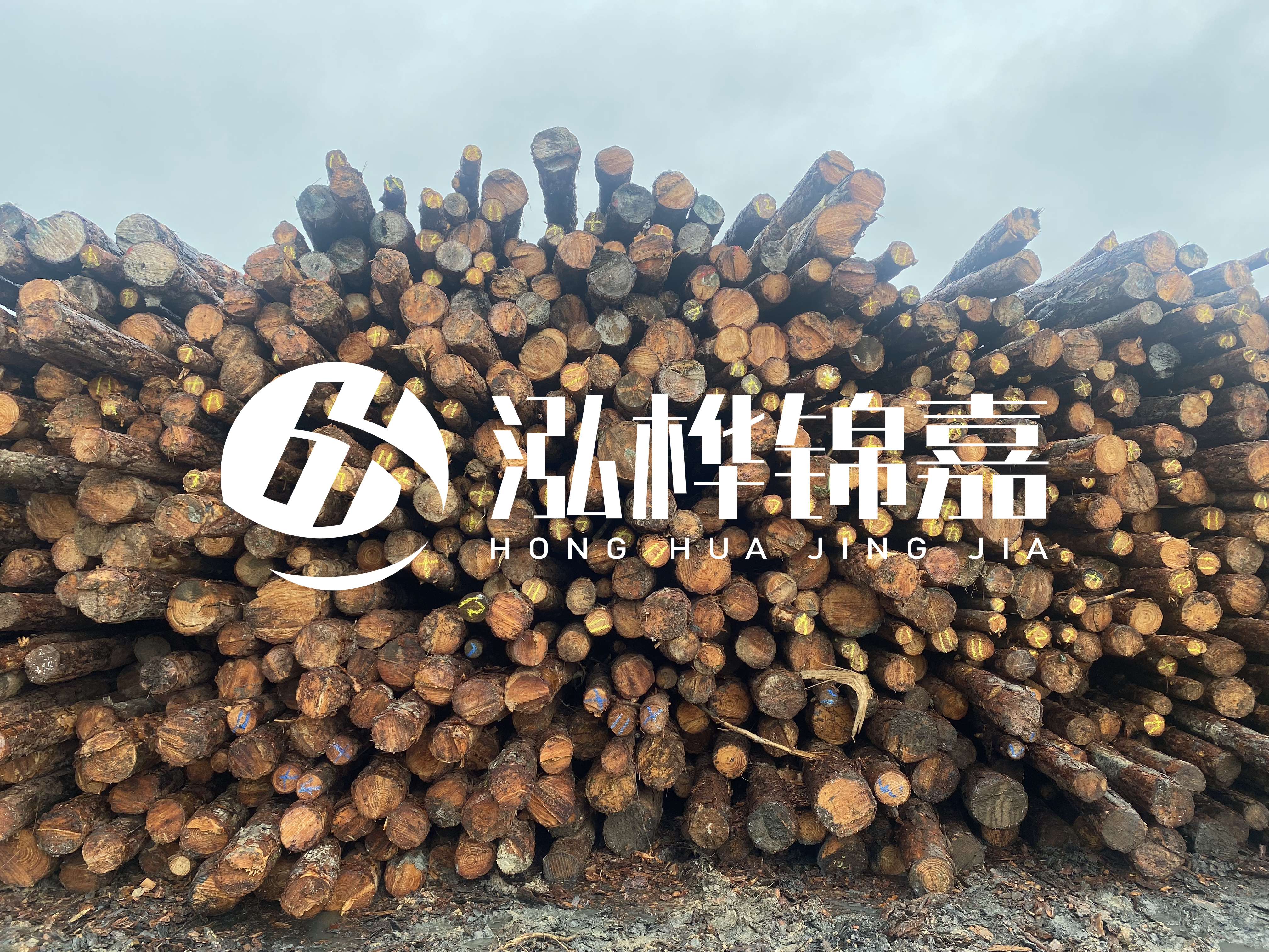 松木樁的直徑一般取多少？