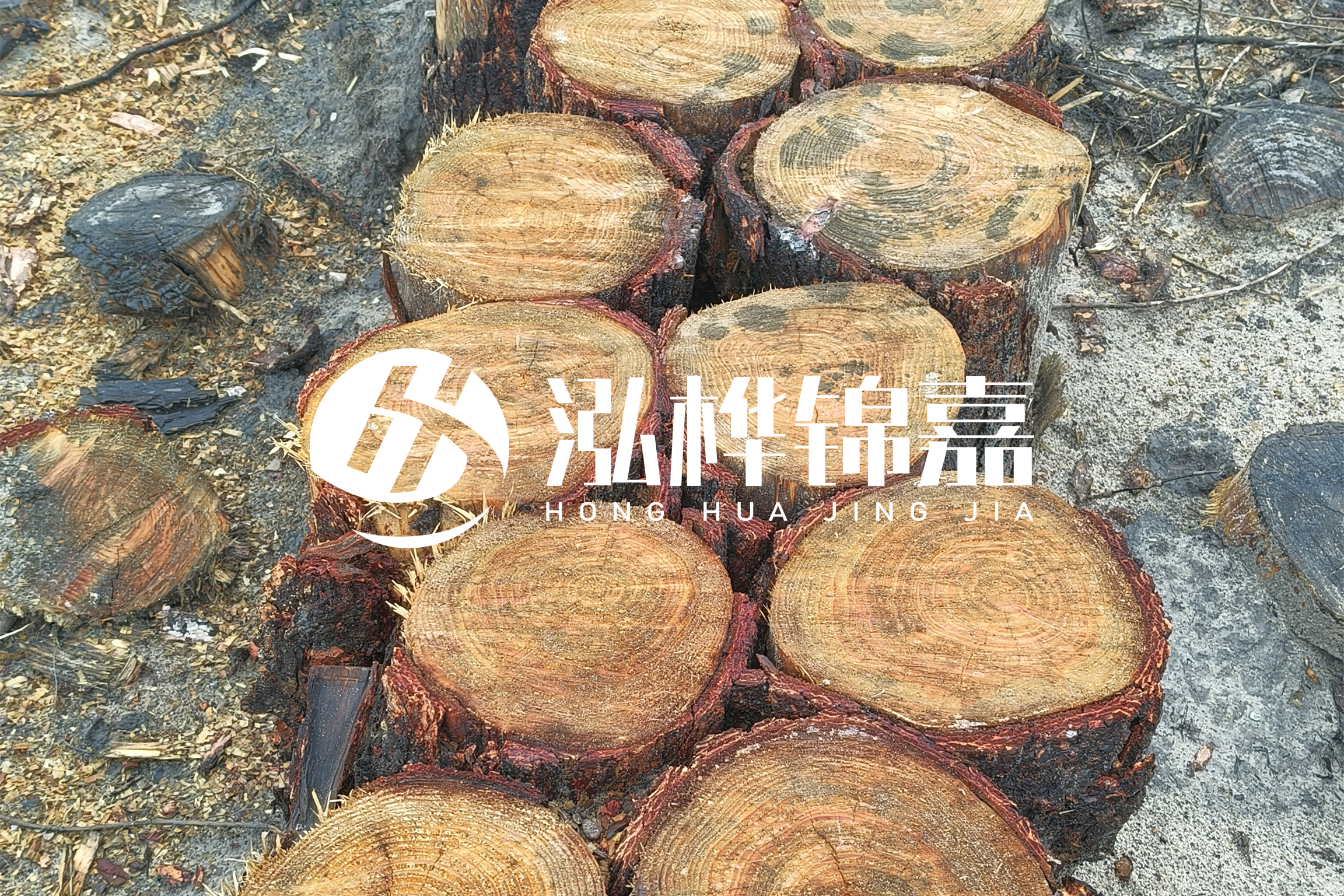 浙江臺(tái)州有清淤的公司嗎？浙江臺(tái)州有清淤施工隊(duì)嗎？