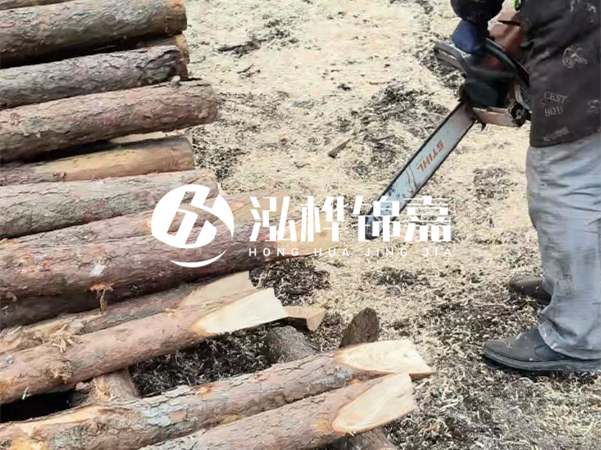 杉木樁批發(fā)廠家哪家好？產(chǎn)地直供渠道推薦！