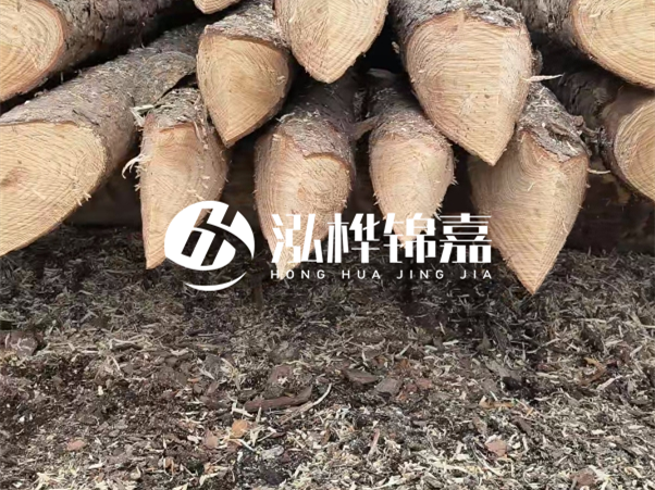 打樁木樁與鋼樁相比有哪些優(yōu)缺點？如何進行后期維護？