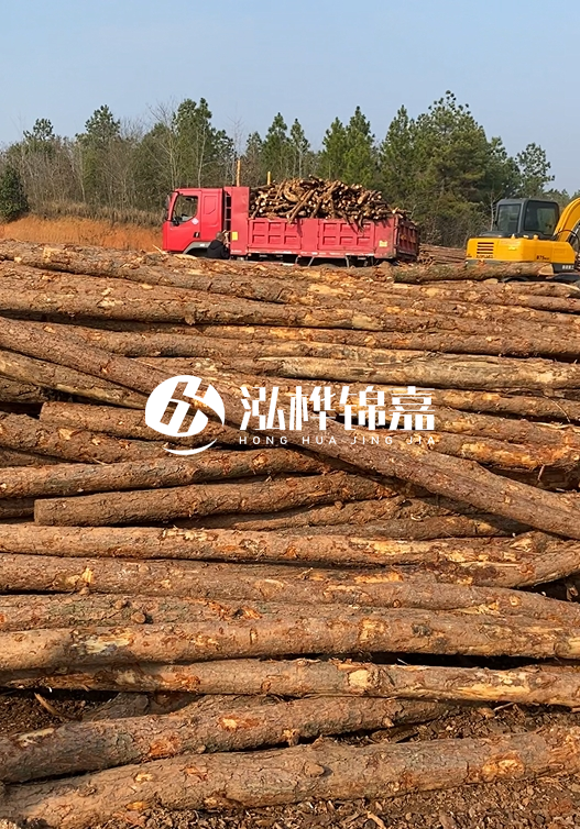8米小頭11-13CM的松木樁價格是多少？打樁施工怎么算？