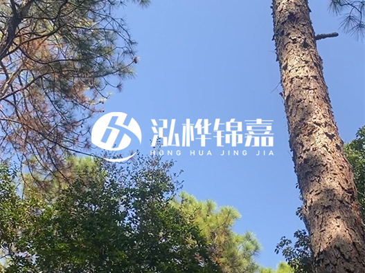 松木樁廠家泓樺錦嘉可以實地考察嗎？需要提前預(yù)約嗎？