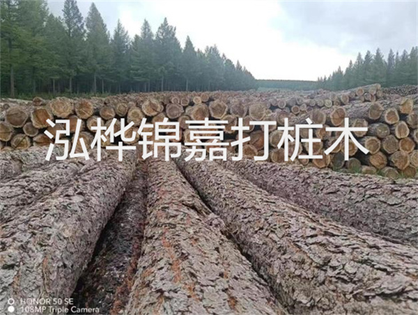 高效施工，圓松木樁助力建筑工程進(jìn)展順利